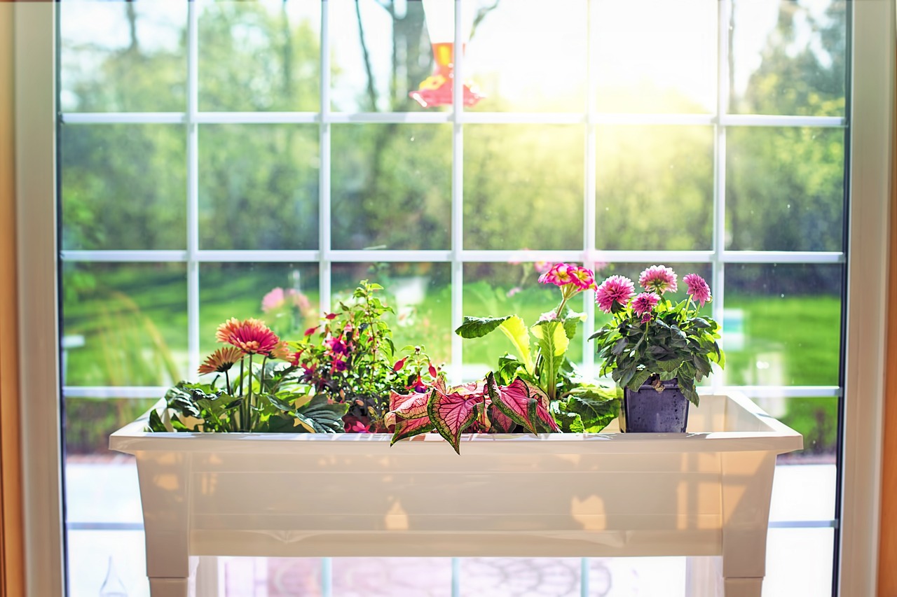 Quels sont les meilleures plantes pour une jardinière fleurie toute l'année ?