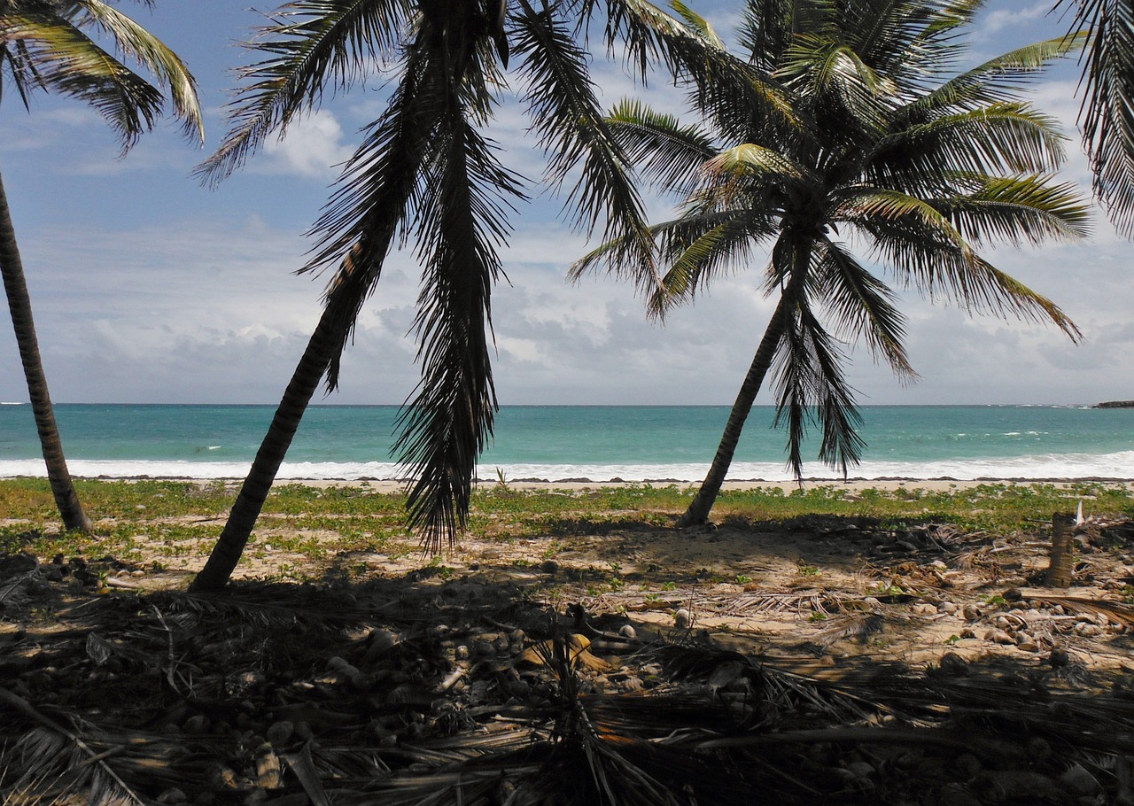 Anse Noire en Martinique : plage de sable noir