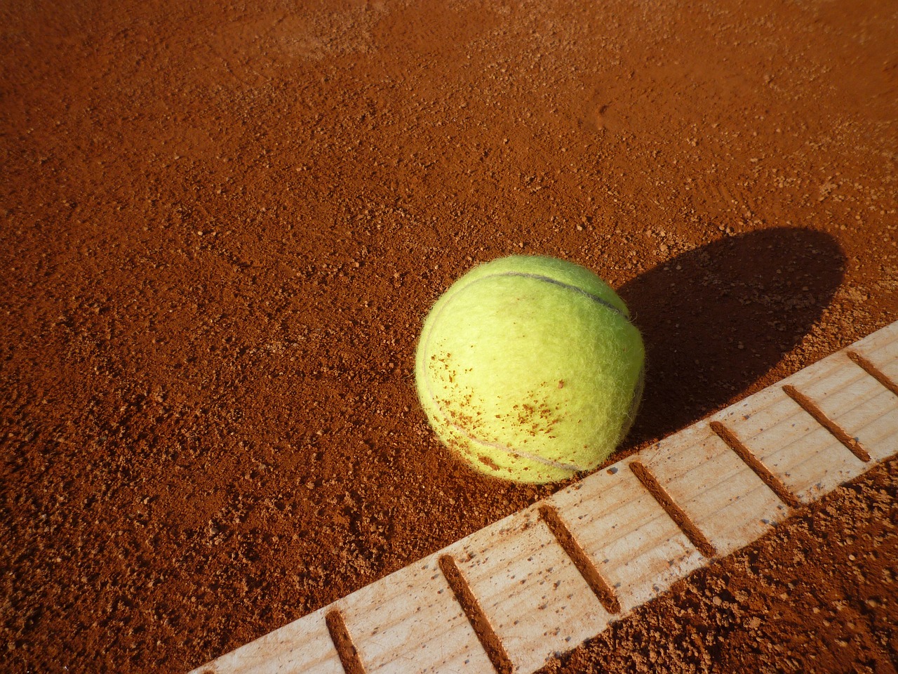 Pronostic tennis Roland Garros femme : Les joueuses favorites et les cotes